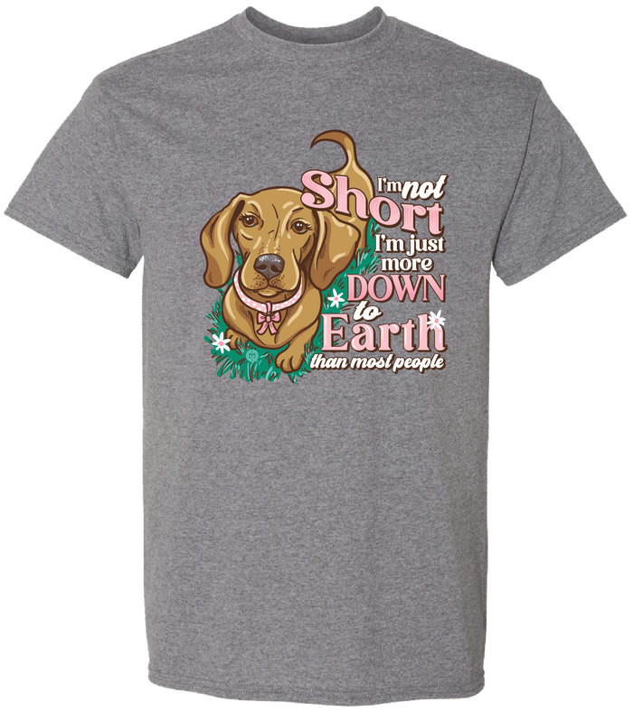 2696 Down to Earth SS Graphite Heather