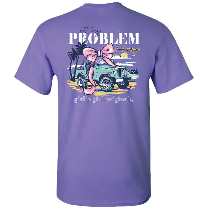 2742 Not My Problem-Violet