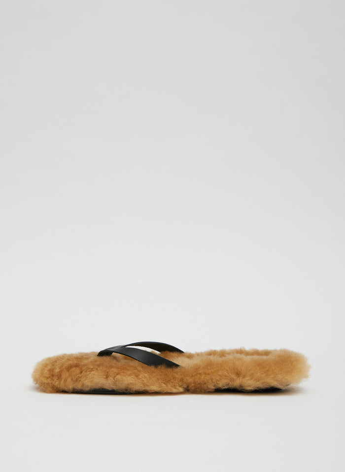 Tan-1