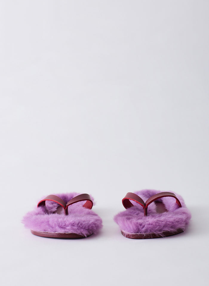 Lavender-4