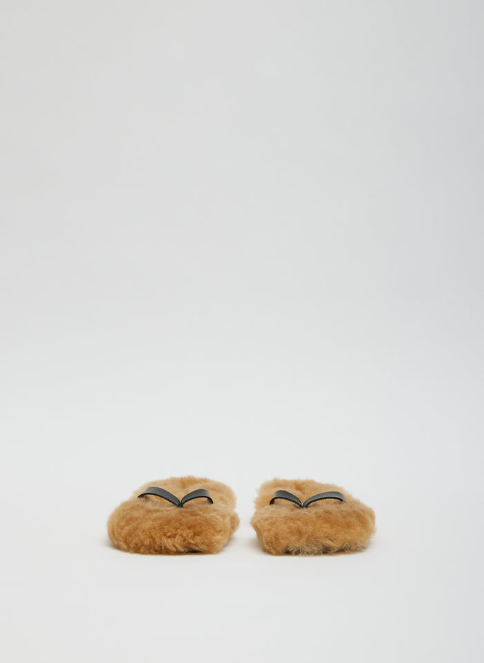 Tan-5