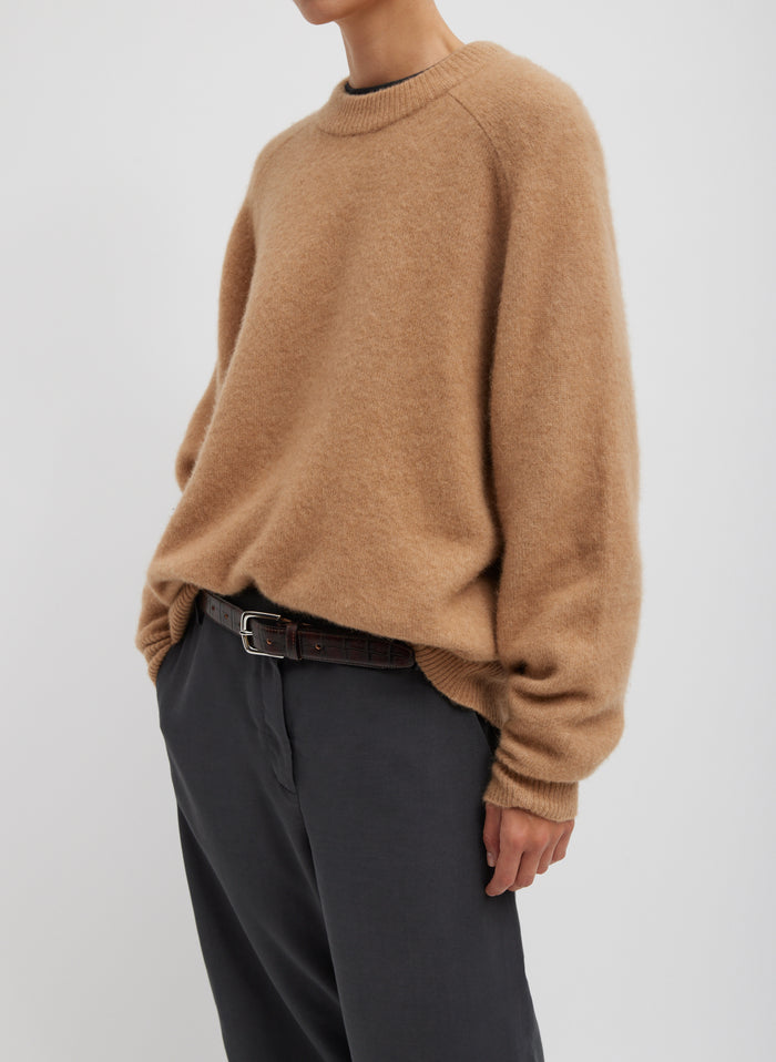Camel-1