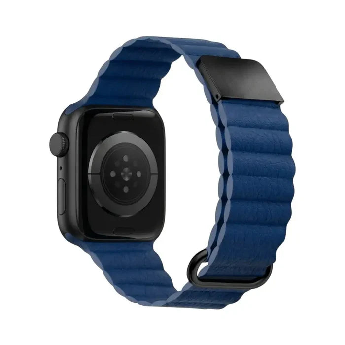 Blue / 44/45/46/49MM (Large Watch)