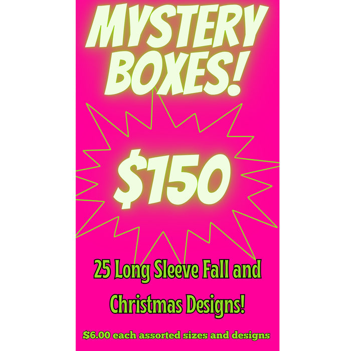 Mystery Box Long Sleeve - 25 Piece Fall and Christmas
