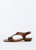Brown-1