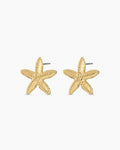 Starfish Statement Earrings || option::18K Gold Plated