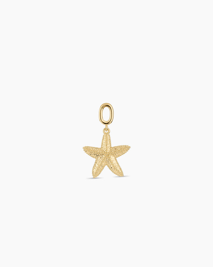 Starfish Statement Parker Charm || option::18K Gold Plated