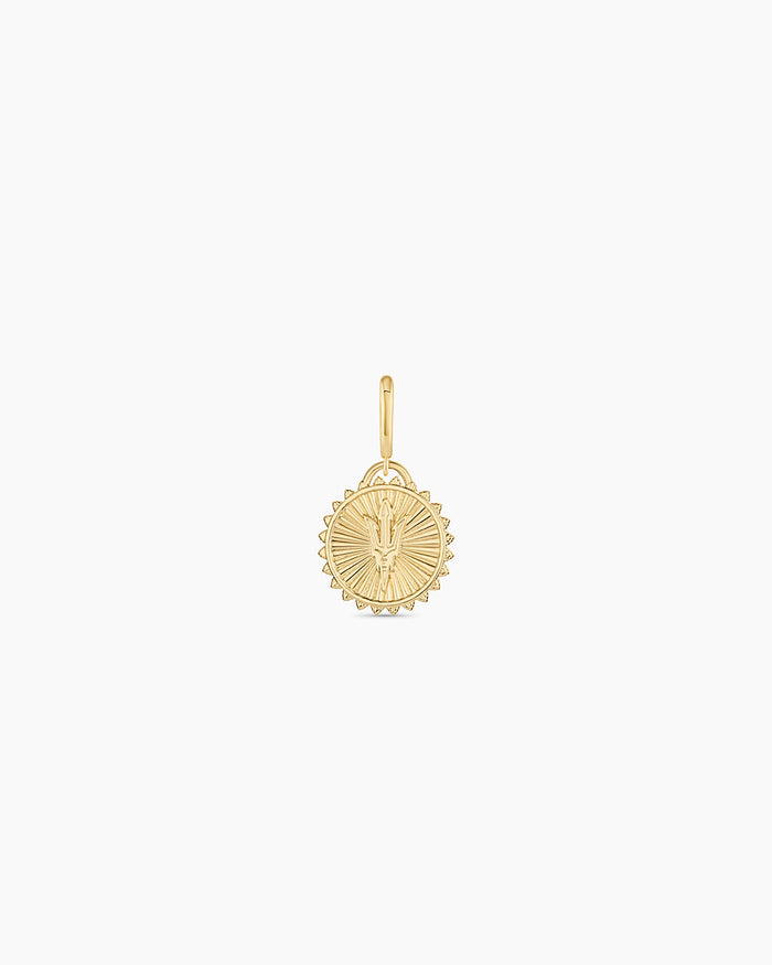 Sun Devil Charm (reversible) || option::18K Gold Plated